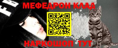 СК Кингисепп