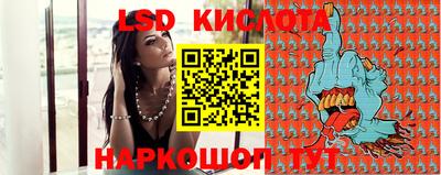 СК Кингисепп