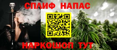 СК Кингисепп