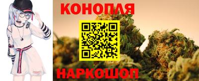 СК Кингисепп