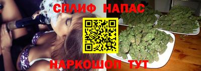 СК Кингисепп