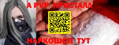СК Кингисепп