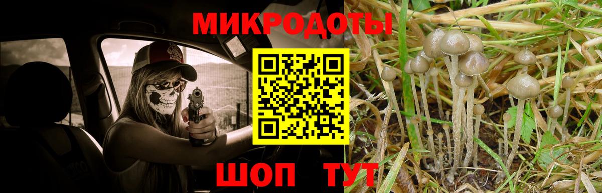 Лесосибирск  Псилоцибиновые грибы мицелий  Вход с VPN  Псилоцибиновые грибы Cubensis 
